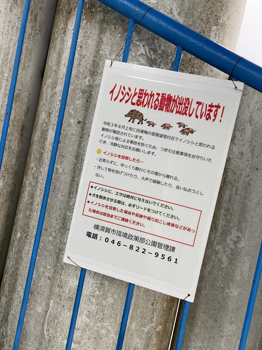 三浦アルプス低山×5⛰ゴールの景色はご褒美✨の写真6