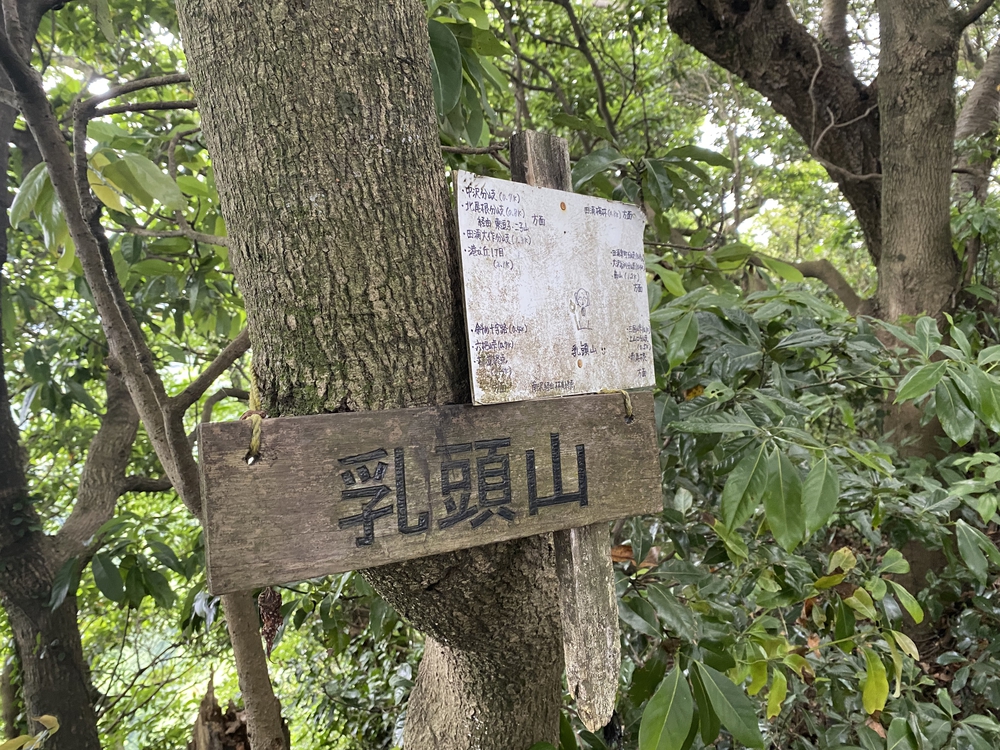三浦アルプス低山×5⛰ゴールの景色はご褒美✨の写真7