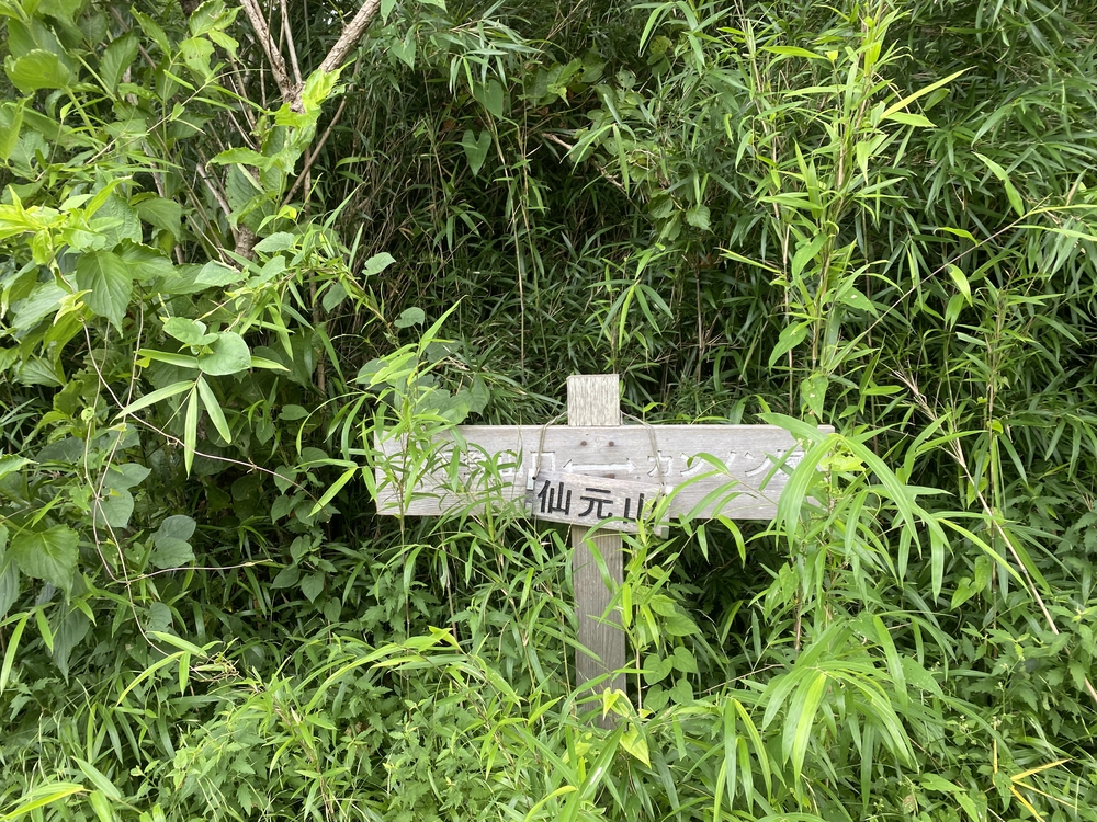 三浦アルプス低山×5⛰ゴールの景色はご褒美✨の写真8