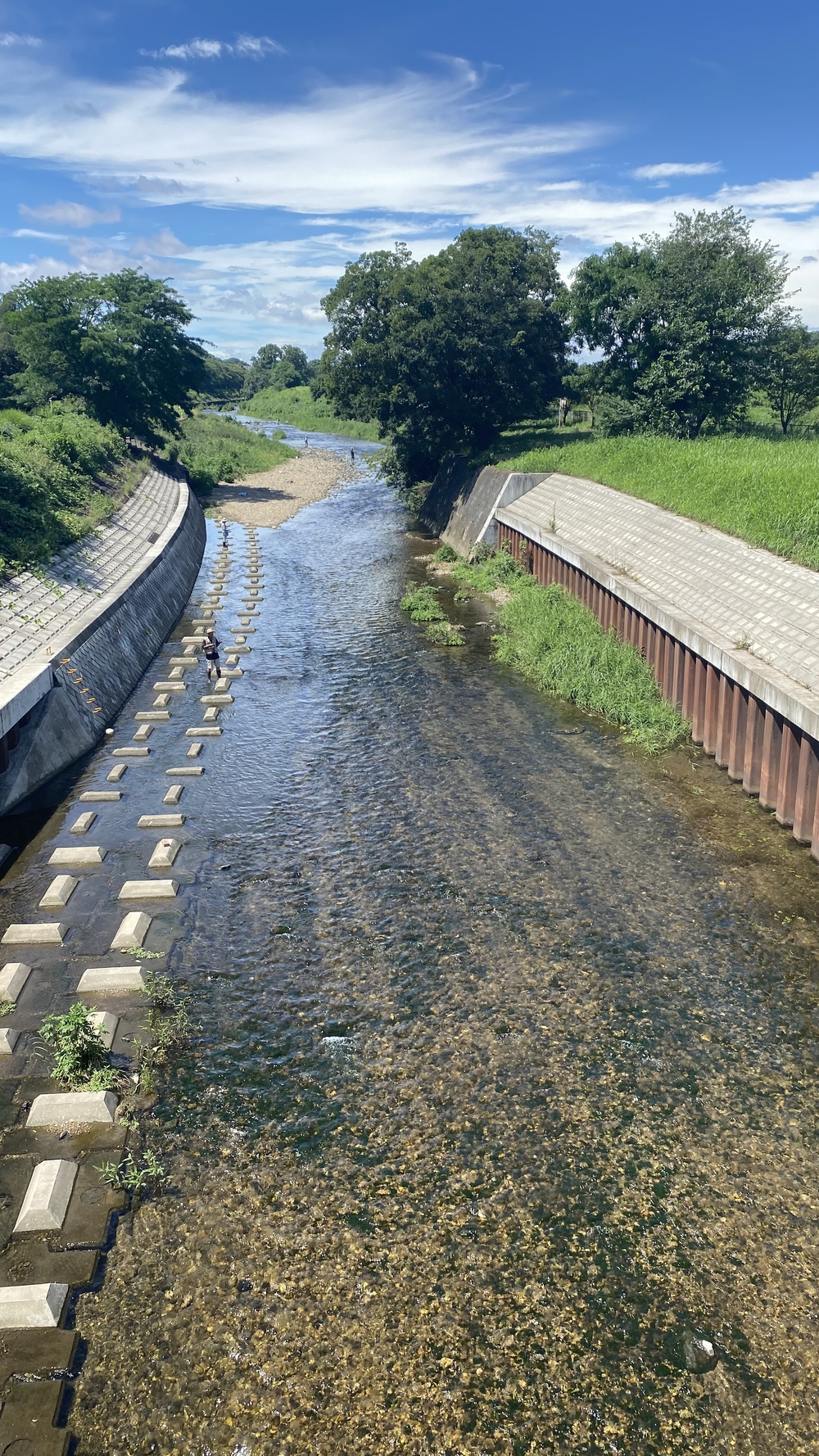 柳瀬川、空堀川河川ラン 14キロ 柳瀬川駅〜久米川駅の写真6