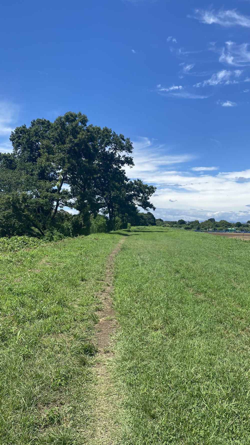 柳瀬川、空堀川河川ラン 14キロ 柳瀬川駅〜久米川駅の写真7