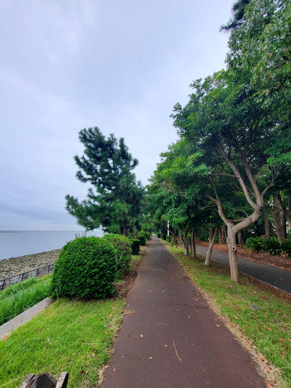 菊川橋から東京ゲートブリッジの写真4