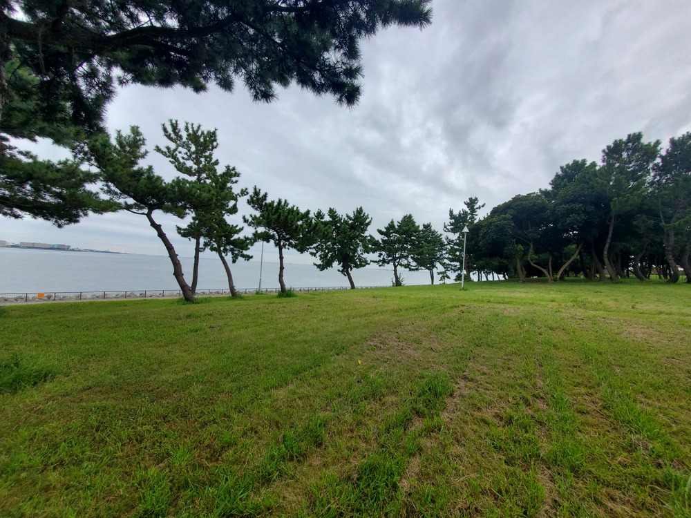 菊川橋から東京ゲートブリッジの写真5