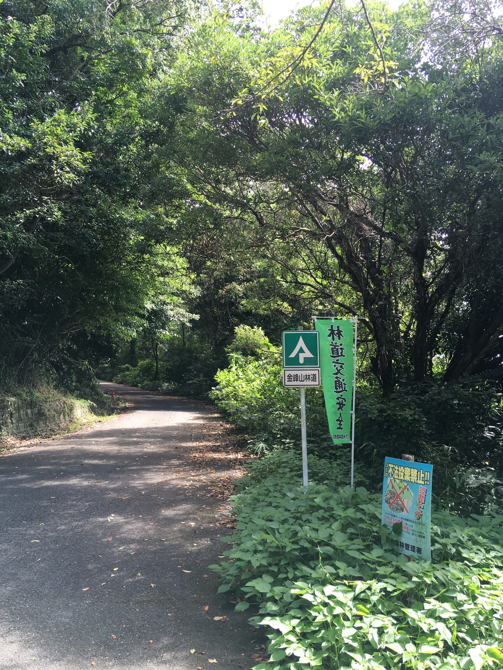 日陰で風もあって涼しい。景色も良い。の写真4