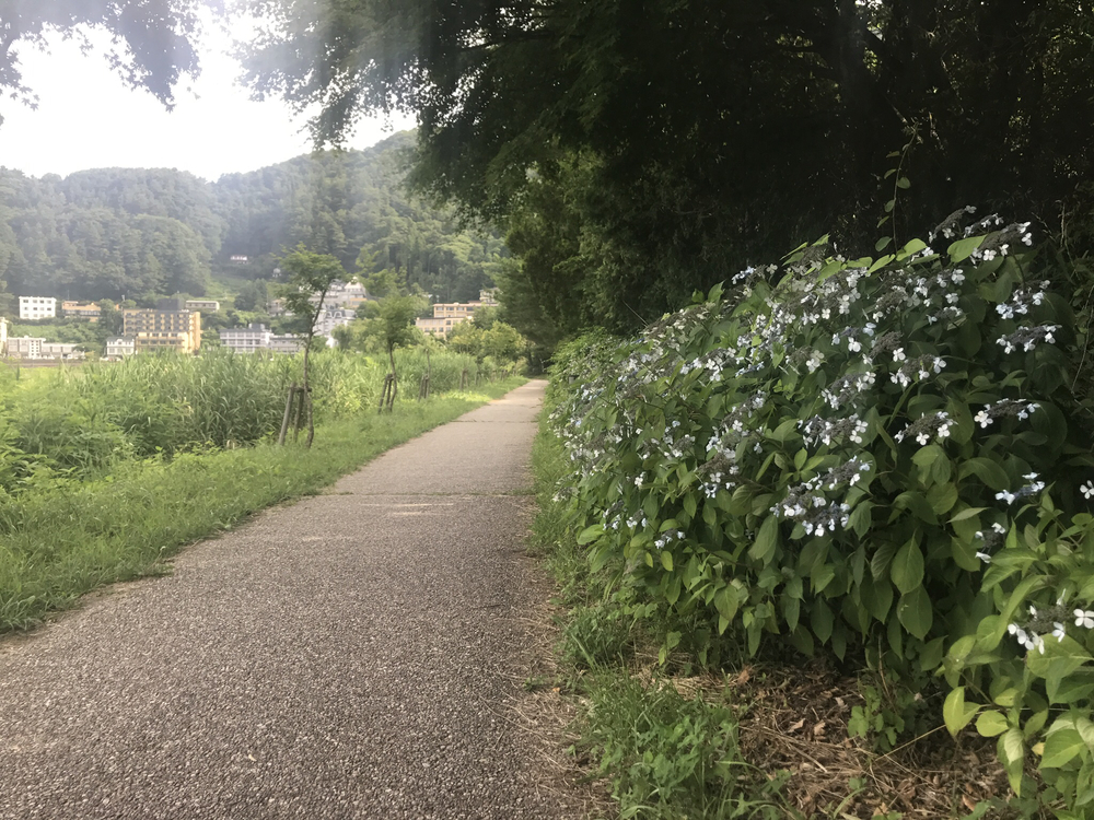 河口湖東岸エリア周回コースの写真3