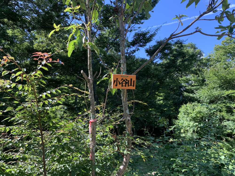 琵琶湖を一望 小谷城跡の写真5