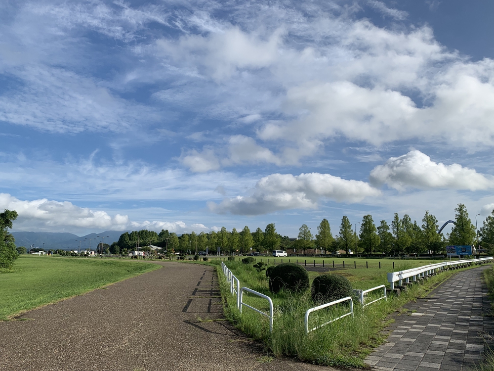 琵琶湖の大きさを実感の写真5