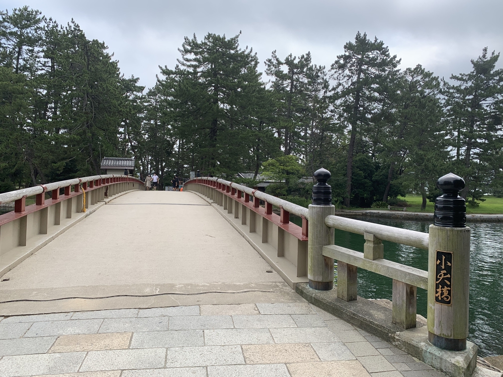 日本三景 天橋立を往復の写真5