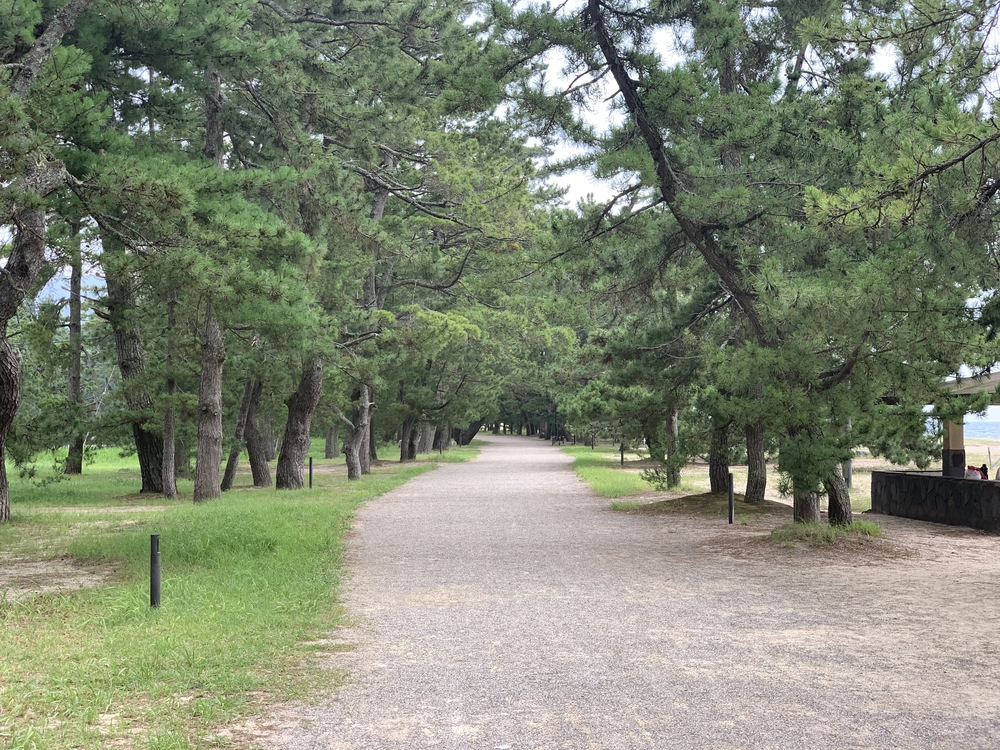 日本三景 天橋立を往復の写真6