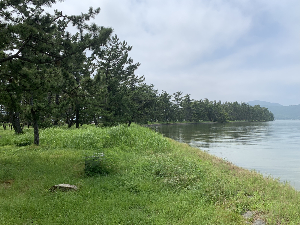 日本三景 天橋立を往復の写真8