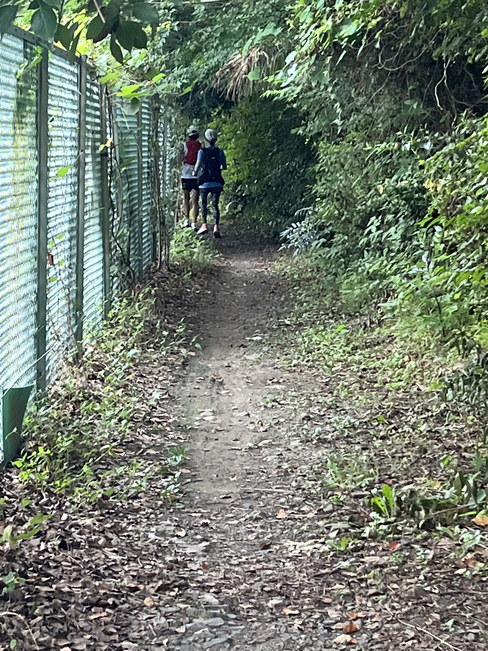 日本一小さな市をぐるりと一周の写真3