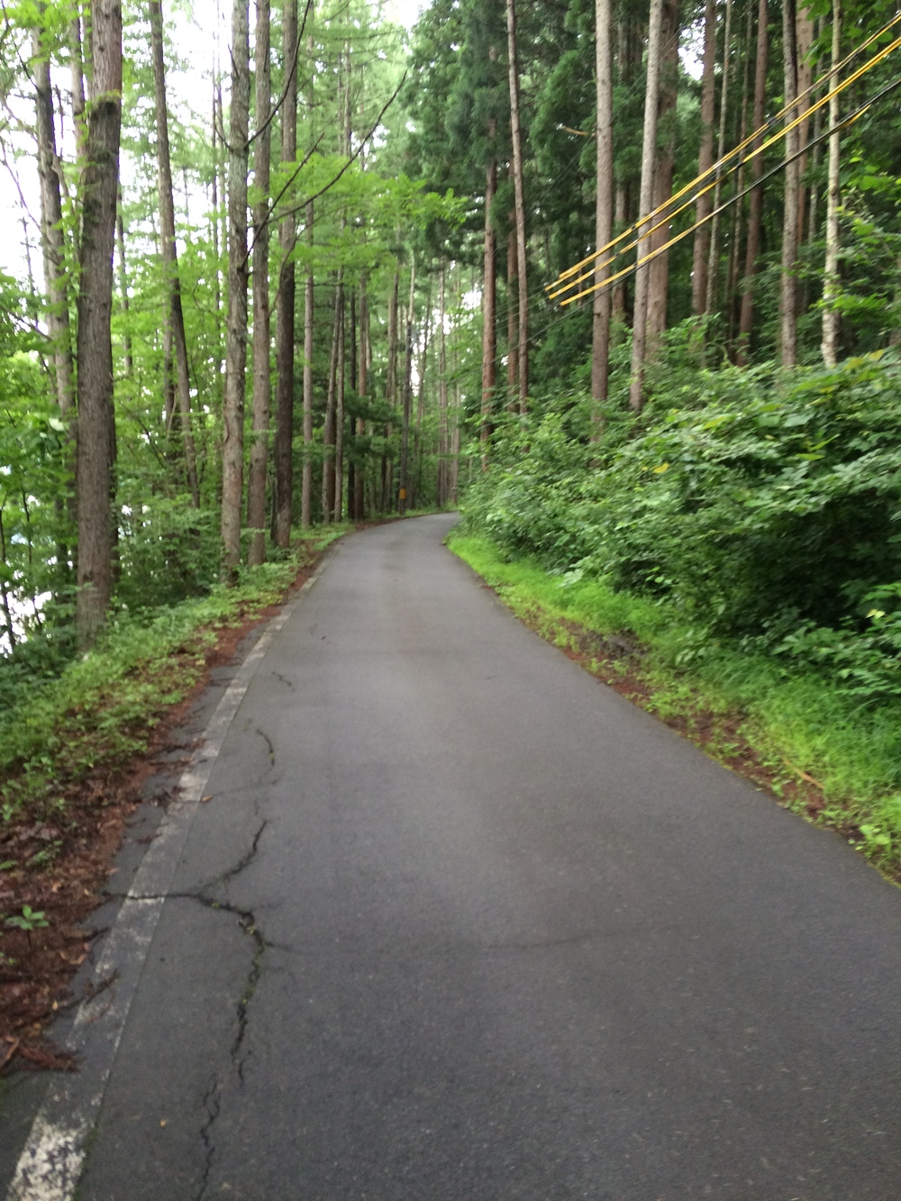 青木湖湖畔周回コースの写真4