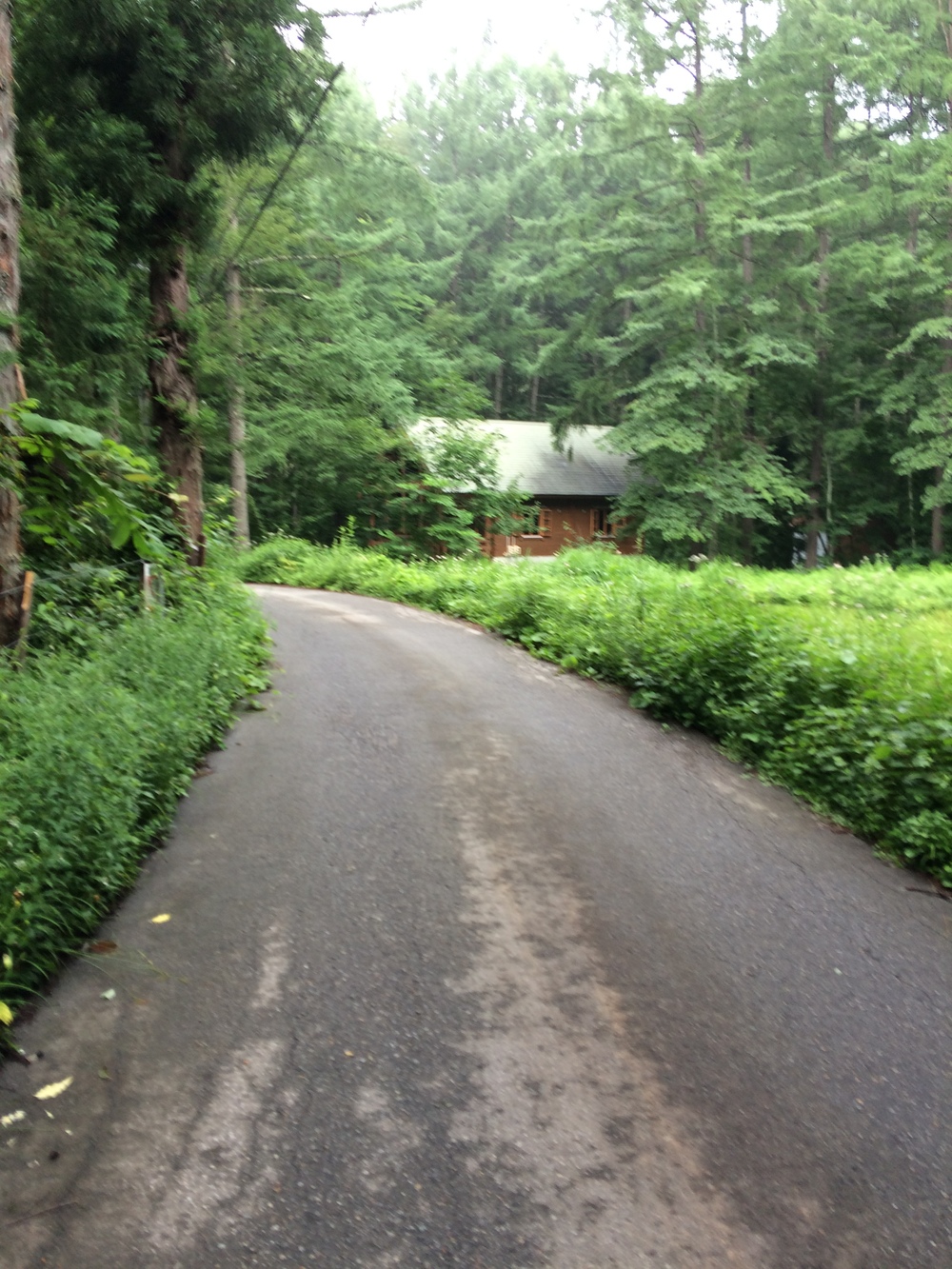 青木湖湖畔周回コースの写真5