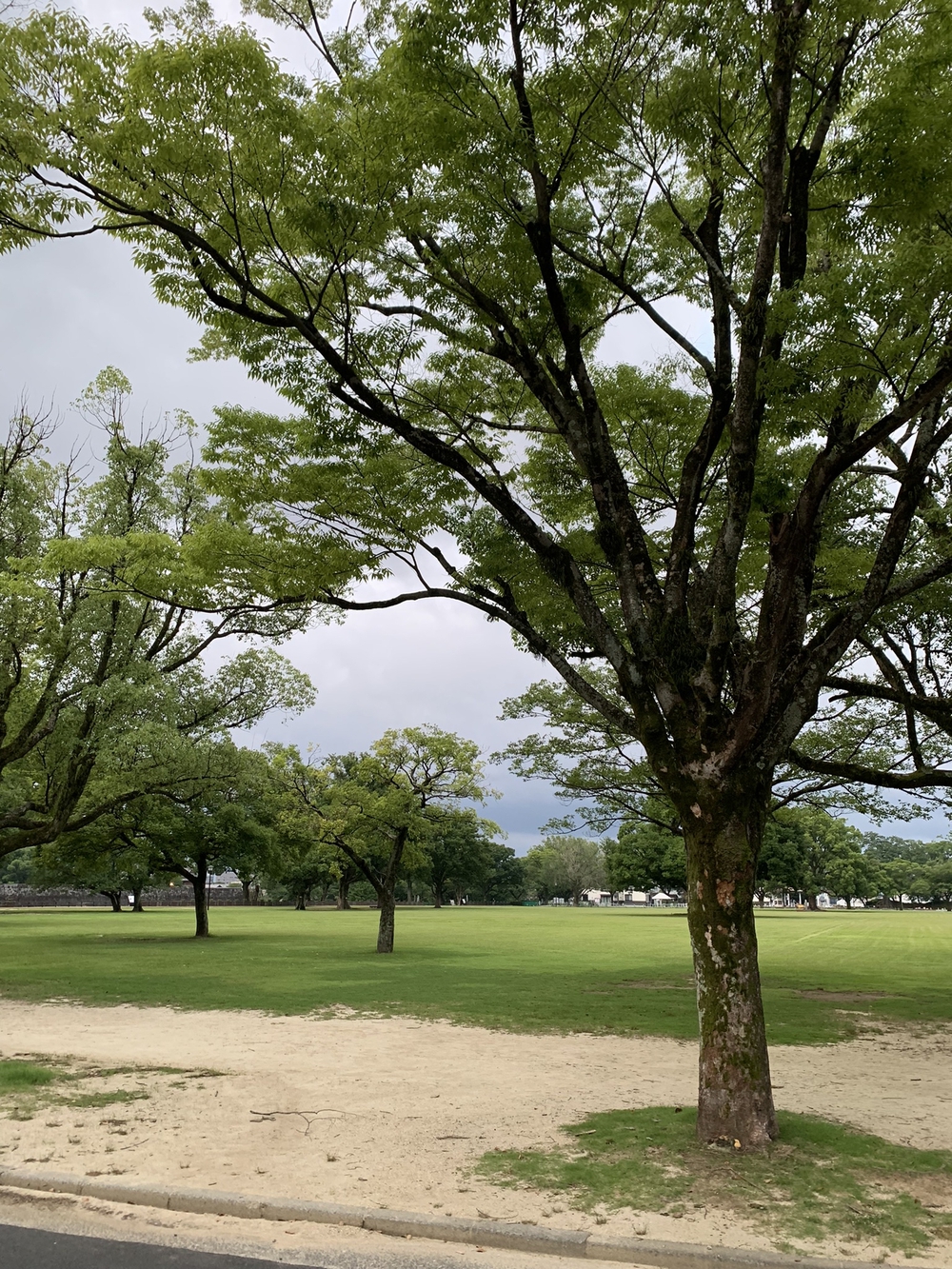 熊本城〜加藤神社〜清正公周回の写真9