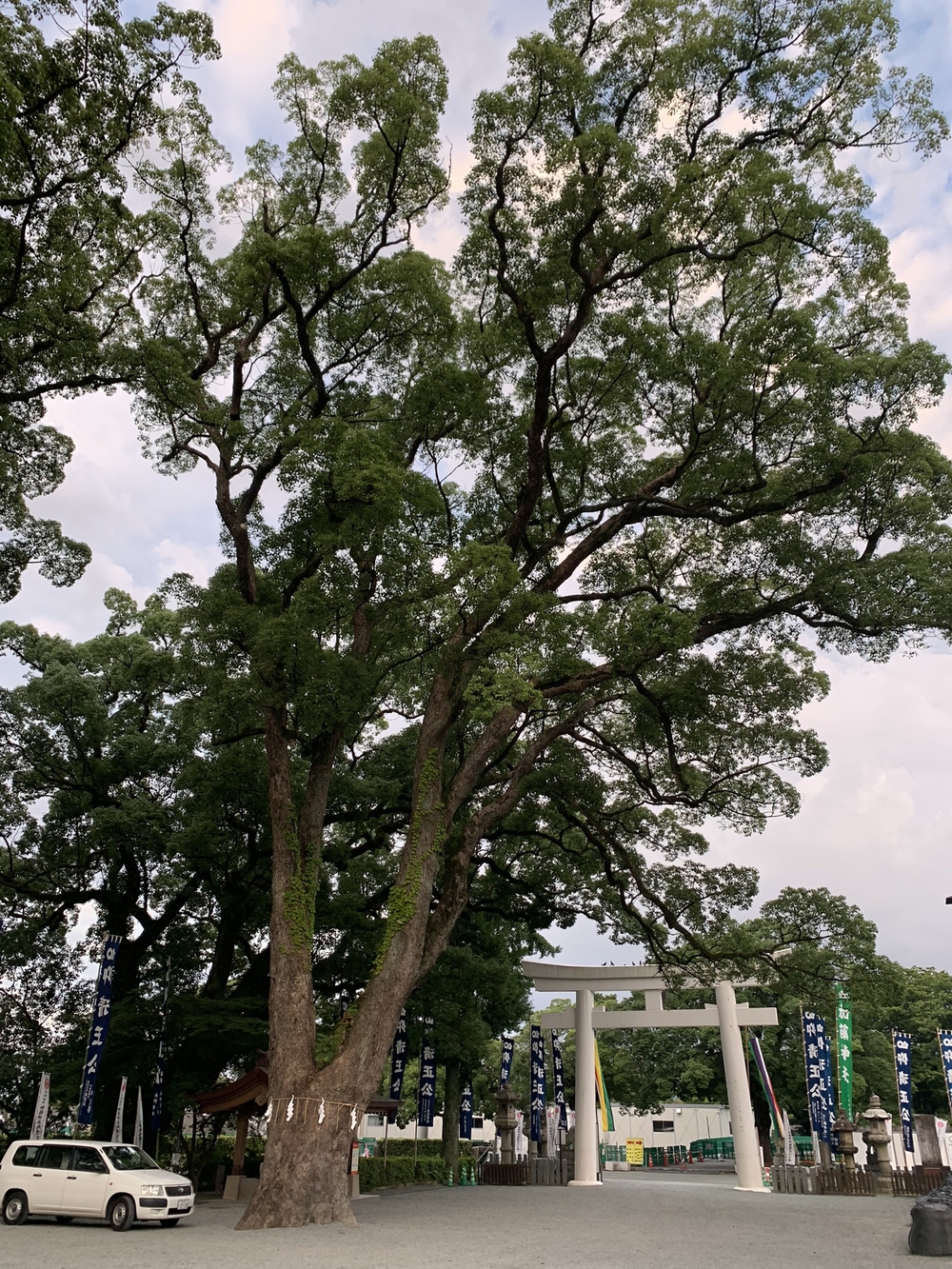 熊本城〜加藤神社〜清正公周回の写真15