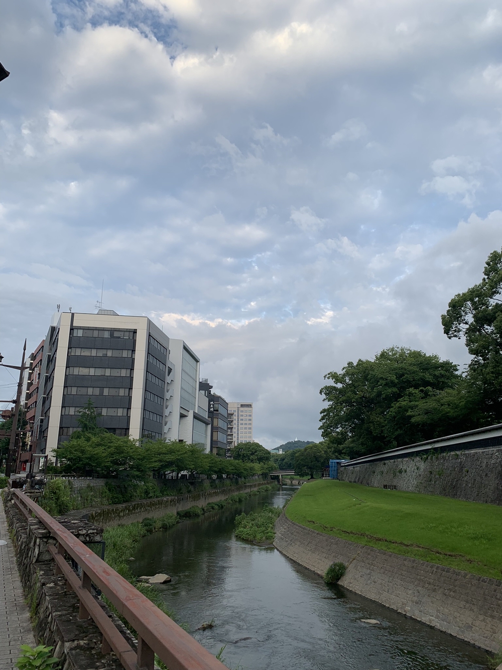 熊本城〜加藤神社〜清正公周回の写真17