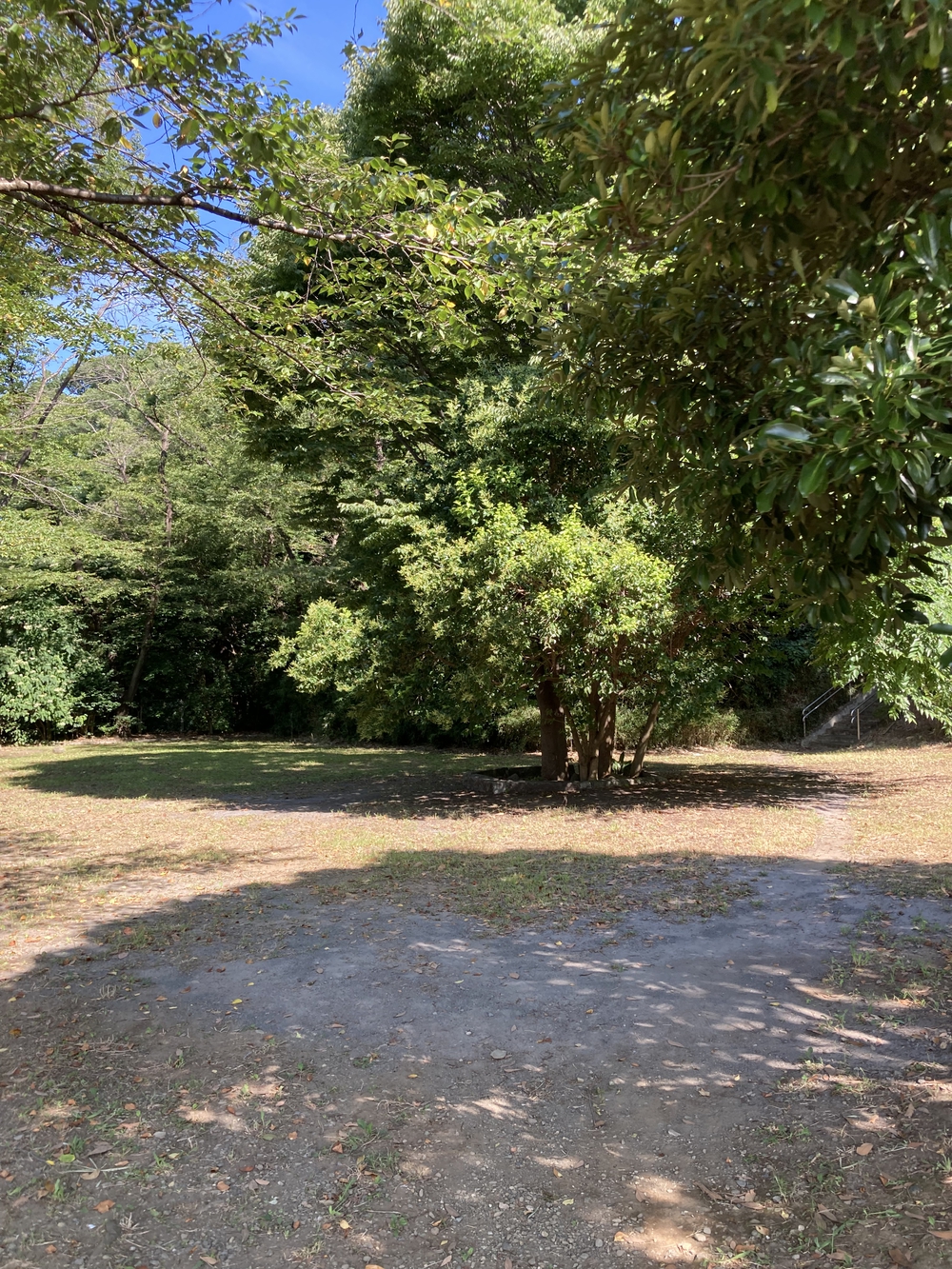 日陰が多め！夏でも涼しく走れる根川緑道&残堀川沿いコースの写真3