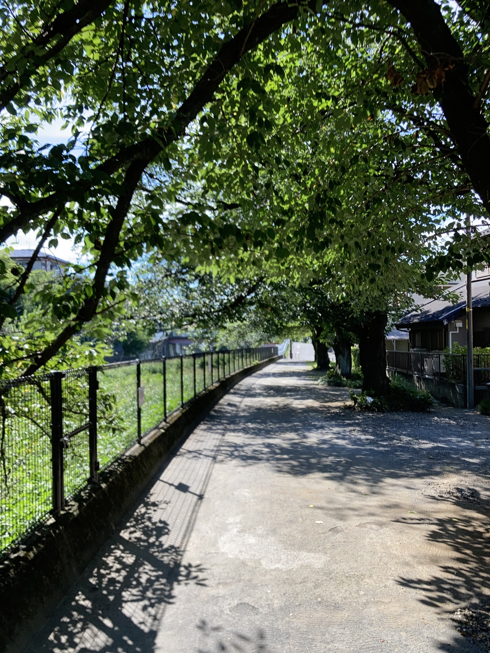 日陰が多め！夏でも涼しく走れる根川緑道&残堀川沿いコースの写真4