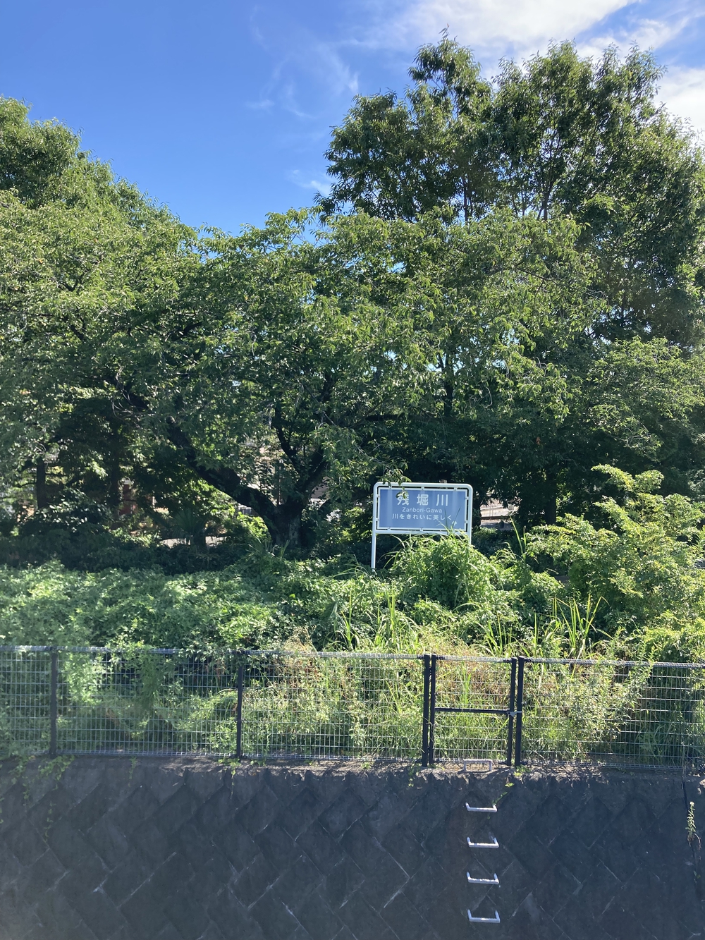 日陰が多め！夏でも涼しく走れる根川緑道&残堀川沿いコースの写真6