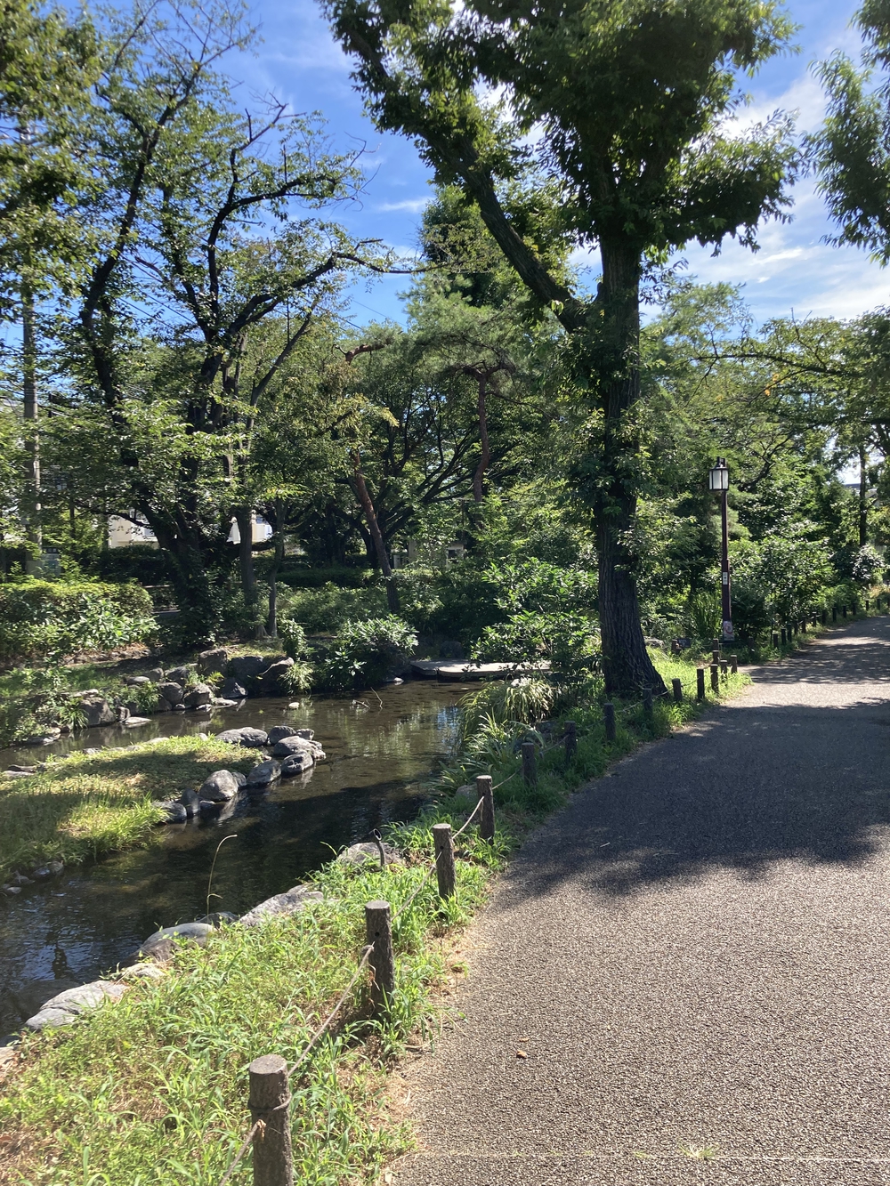 日陰が多め！夏でも涼しく走れる根川緑道&残堀川沿いコースの写真7