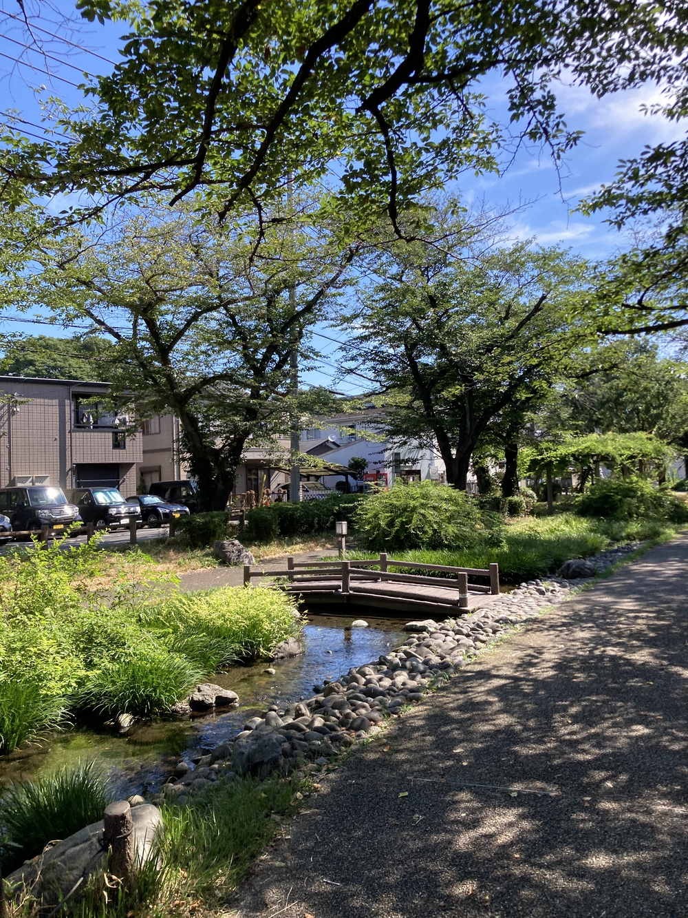日陰が多め！夏でも涼しく走れる根川緑道&残堀川沿いコースの写真8