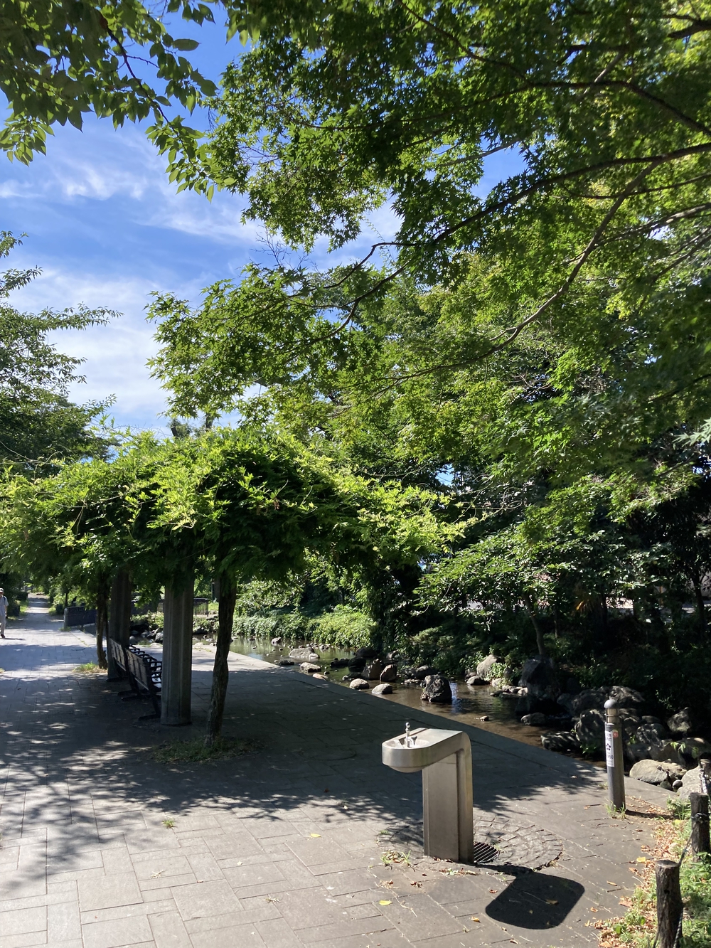 日陰が多め！夏でも涼しく走れる根川緑道&残堀川沿いコースの写真9