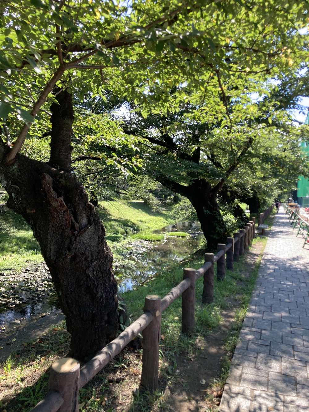 日陰が多め！夏でも涼しく走れる根川緑道&残堀川沿いコースの写真10