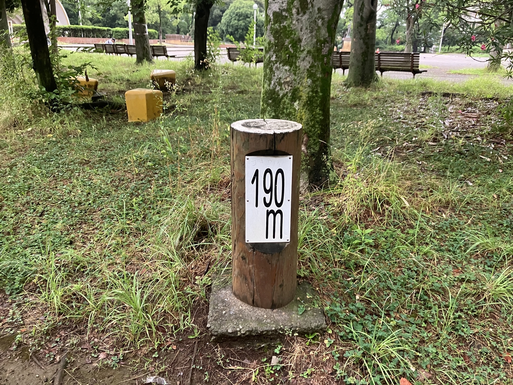 木陰多し・中原平和公園内回り735mコースでペース走の写真3