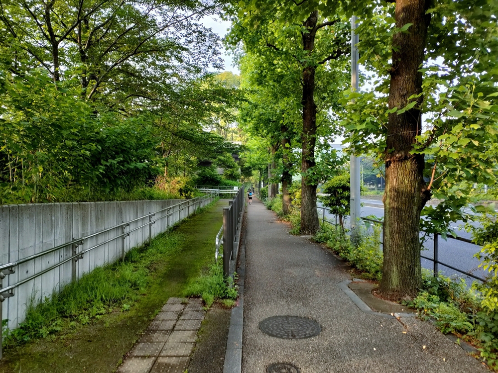 東京　皇居ラン＋国立競技場をぐるりとまわるの写真7