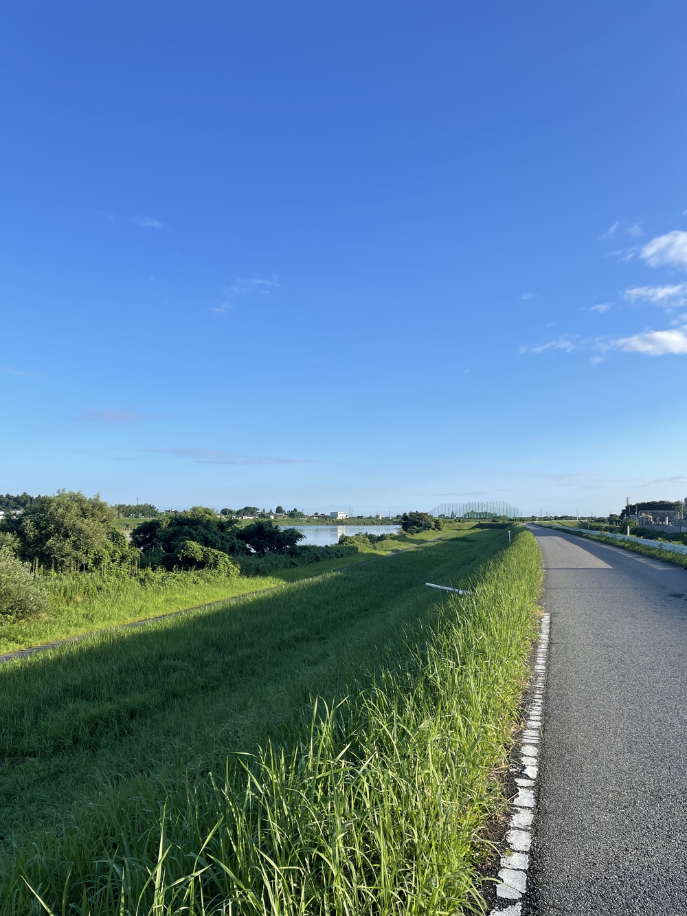 富山駅から神通川〜富岩運河　ランニングコースの写真5
