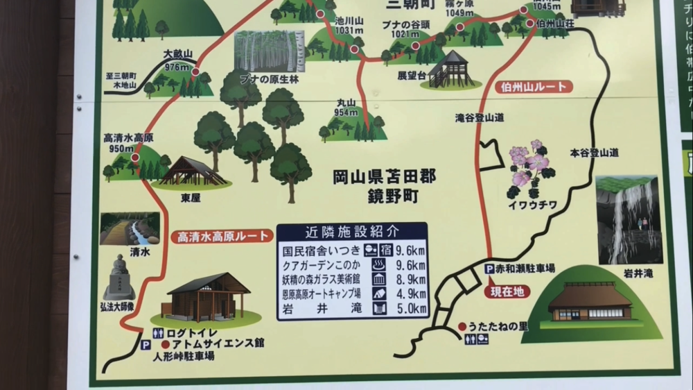 標高1000m、6kmの稜線Runの写真8