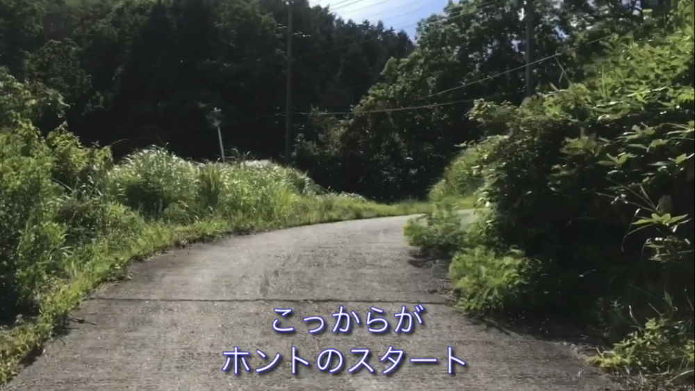 標高1000m、6kmの稜線Runの写真17