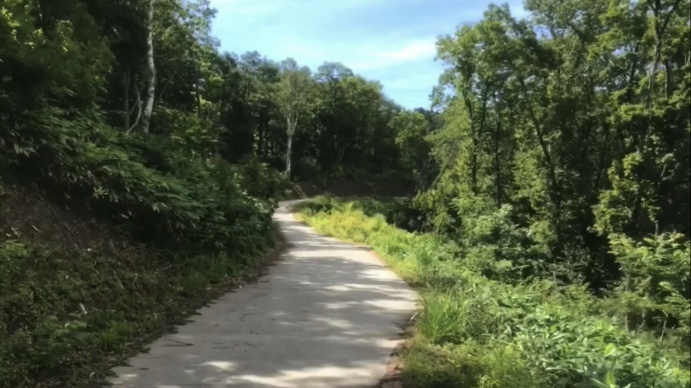 標高1000m、6kmの稜線Runの写真18