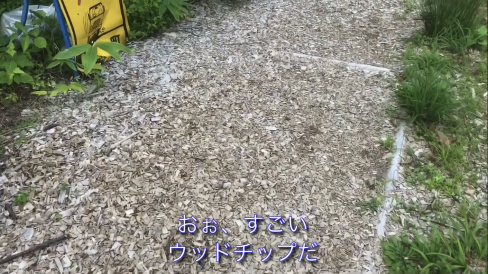 標高1000m、6kmの稜線Runの写真19