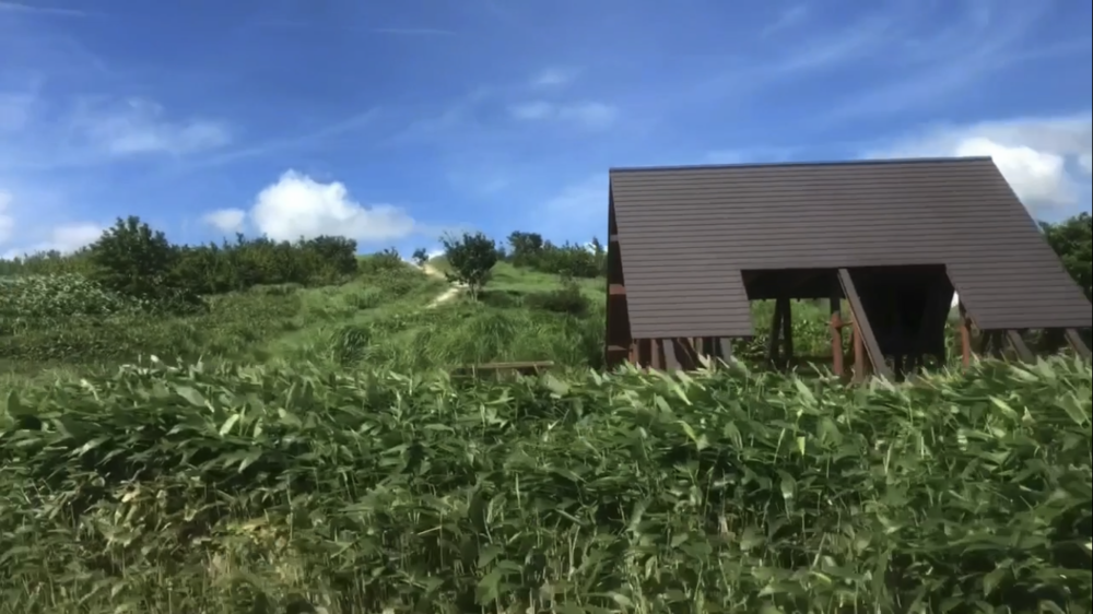 標高1000m、6kmの稜線Runの写真20