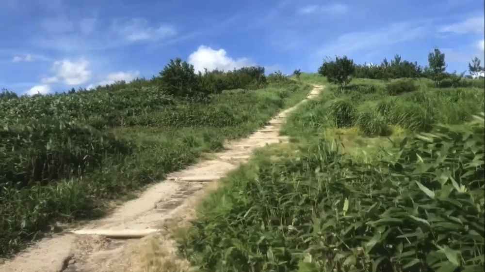 標高1000m、6kmの稜線Runの写真21