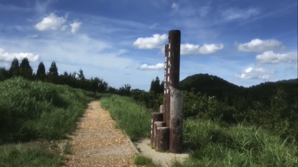 標高1000m、6kmの稜線Runの写真22