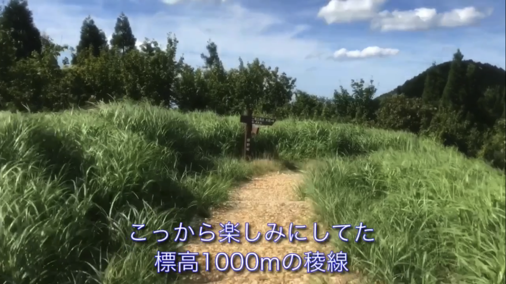 標高1000m、6kmの稜線Runの写真25