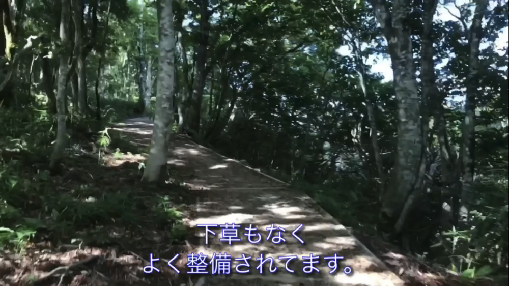 標高1000m、6kmの稜線Runの写真26