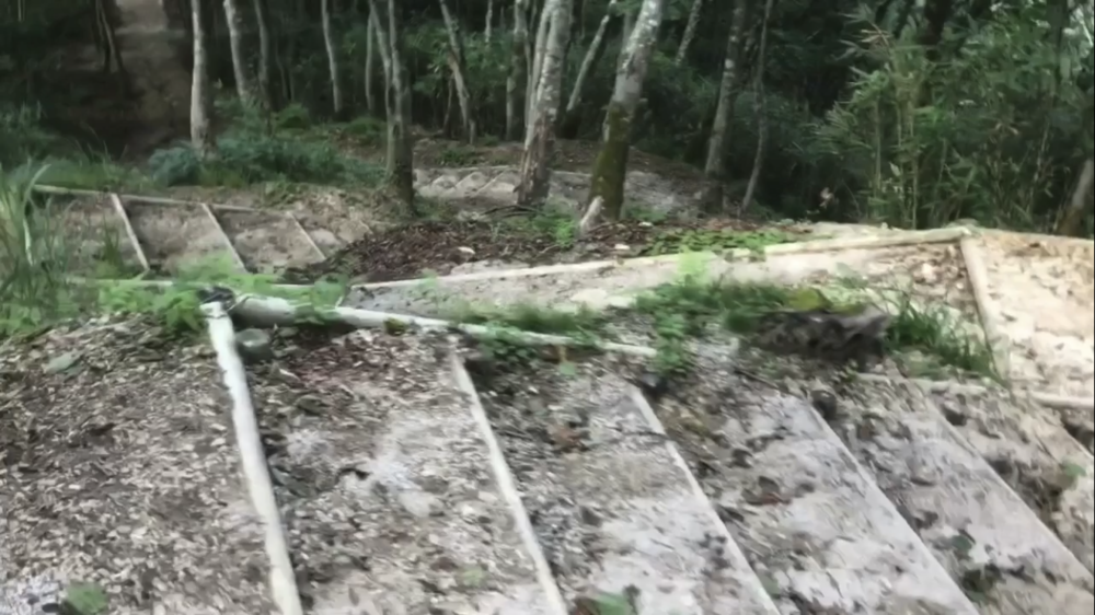 標高1000m、6kmの稜線Runの写真27