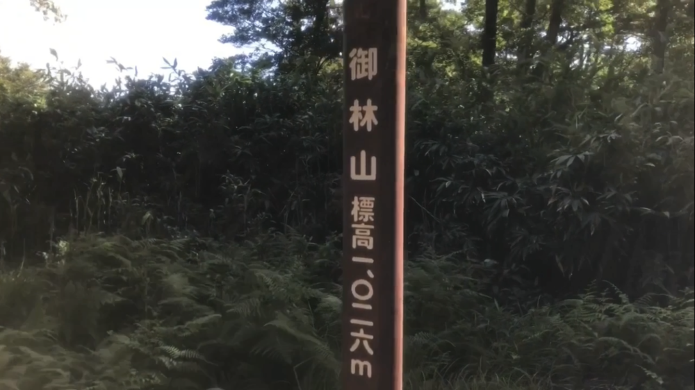 標高1000m、6kmの稜線Runの写真29