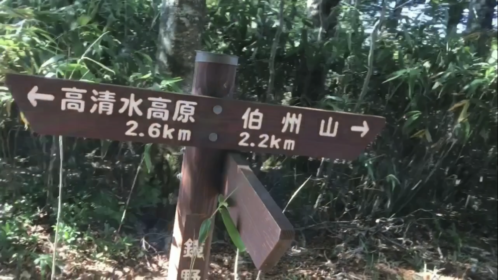 標高1000m、6kmの稜線Runの写真31