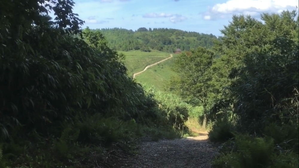 標高1000m、6kmの稜線Runの写真32
