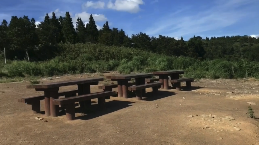 標高1000m、6kmの稜線Runの写真34