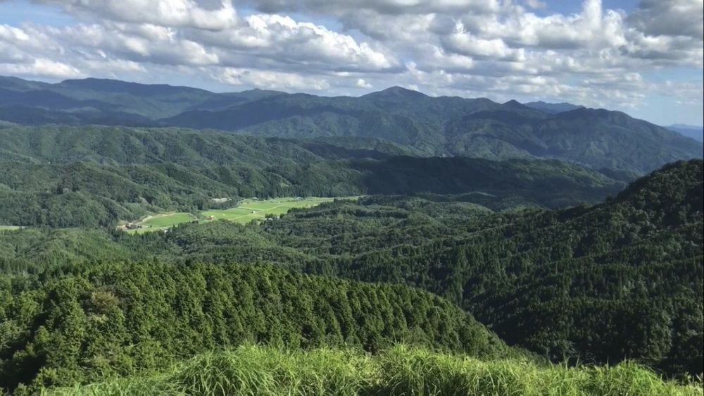 標高1000m、6kmの稜線Runの写真35