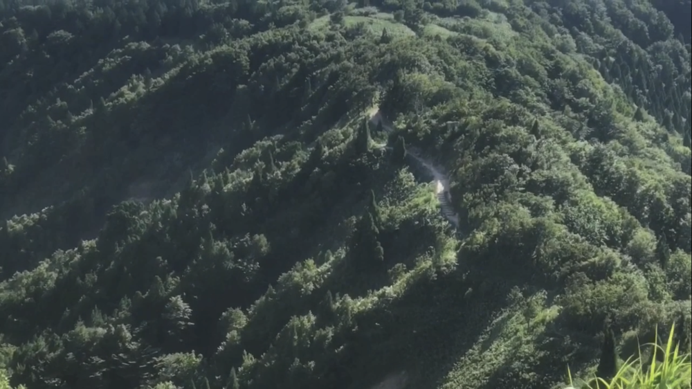 標高1000m、6kmの稜線Runの写真36