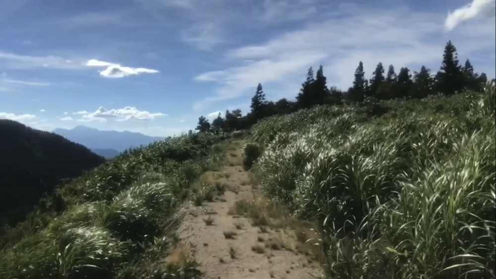 標高1000m、6kmの稜線Runの写真37