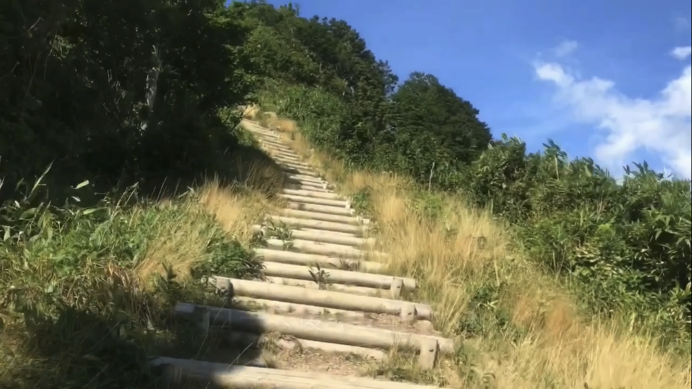 標高1000m、6kmの稜線Runの写真38