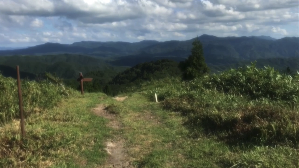 標高1000m、6kmの稜線Runの写真43