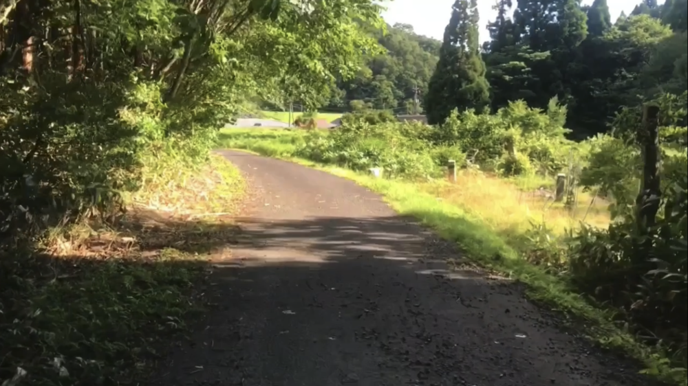 標高1000m、6kmの稜線Runの写真44
